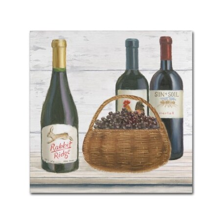 Trademark Fine Art Emily Adams 'Vintners Recess II' Canvas Art, 24x24 WAP01740-C2424GG